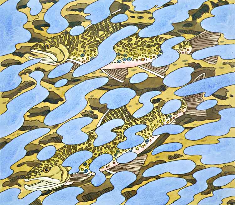 Two Trout & Reflection, 1994  hand-colored etching on Arches Cover, 22 1/4 x 26 7/8 inches, sheet, edition 60