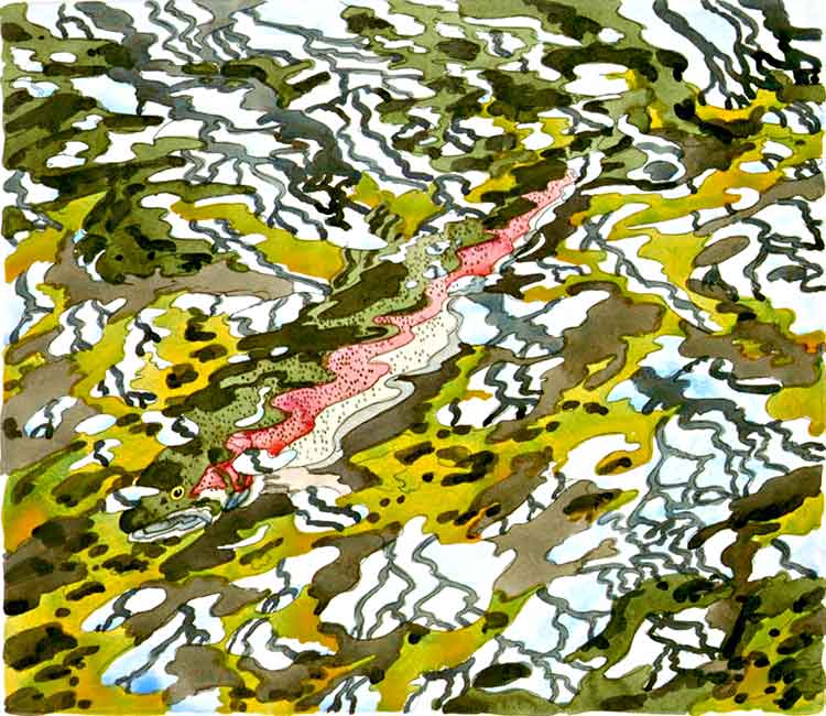 Trout and Reflected Tree, 1985
             hand-colored etching on Arches Cover, 25 3/4 x 28 inches, sheet, edition 90